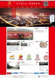 宏日投资 网站建设微信小程序APP商城系统开发营销推广 中国联盟网
